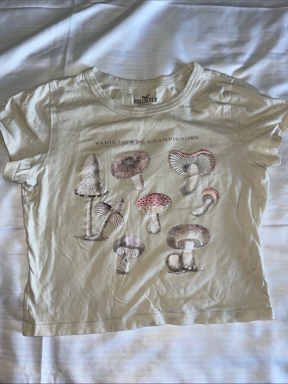 Kids’ Hollister Cream Tee with Pink & Brown Mushroom Print XXS